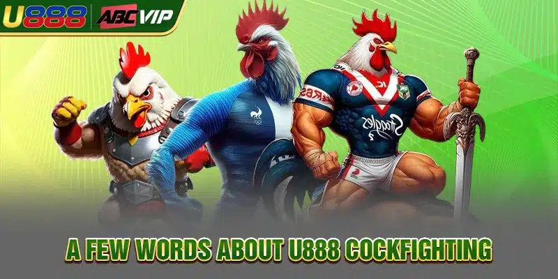 A few words about U888 Cockfighting