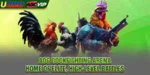 AOG Cockfighting Arena | Home of Elite, High-Level Battles
