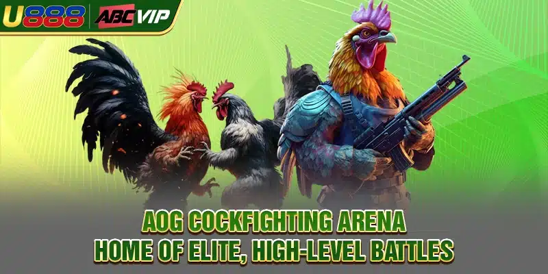 AOG Cockfighting Arena | Home of Elite, High-Level Battles