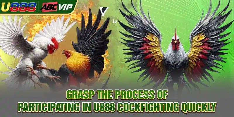 Grasp the process of participating in U888 Cockfighting quickly