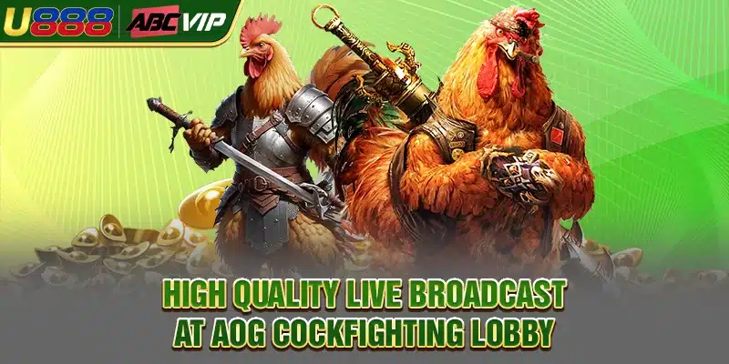 High quality live broadcast at AOG cockfighting lobby